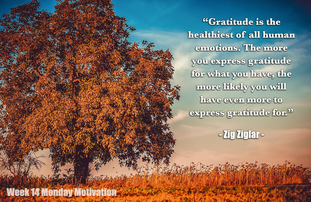 Week 14 Gratitude